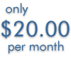 $20 per month